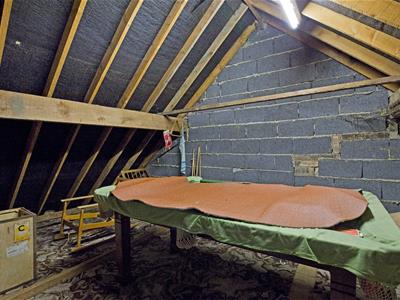 Picture 27